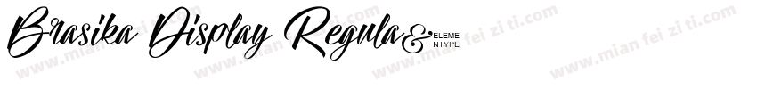 Brasika Display Regula字体转换